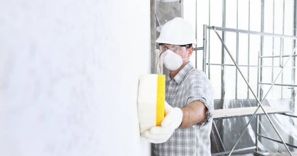 Best Mold Prevention Services  in Shannondale, WV