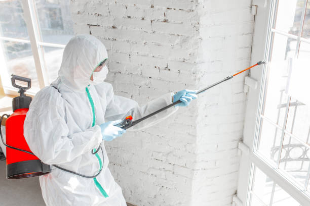 Best Biohazard Mold Removal  in Shannondale, WV