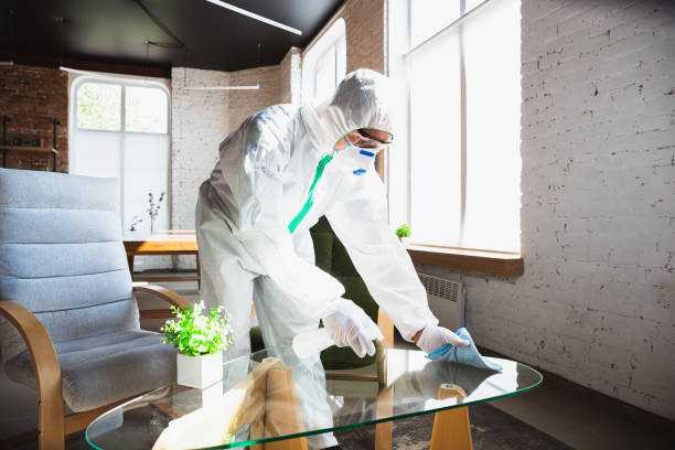 Best Mold Remediation for Healthcare Facilities  in Shannondale, WV